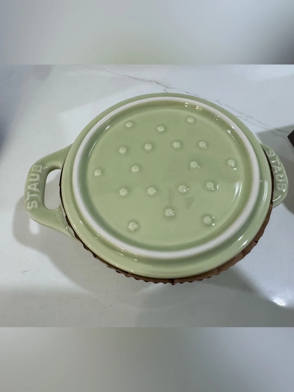 NWT Staub 2-Piece Mini Round Dutch Oven Light Green 10cm